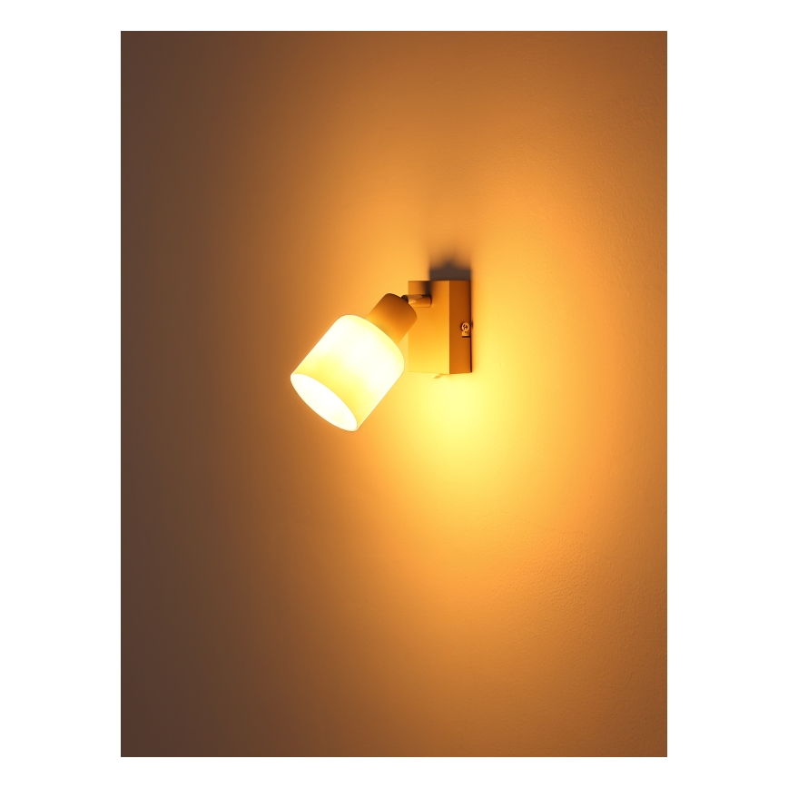 Globo - Επιτοίχιο σποτ 1xE14/25W/230V