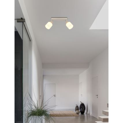 Globo - Φωτιστικό σποτ 2xE14/25W/230V