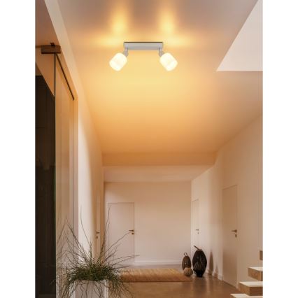 Globo - Φωτιστικό σποτ 2xE14/25W/230V