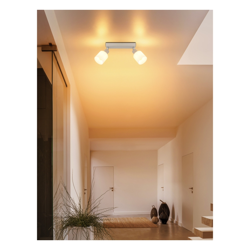 Globo - Φωτιστικό σποτ 2xE14/25W/230V