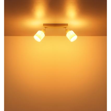 Globo - Φωτιστικό σποτ 2xE14/25W/230V