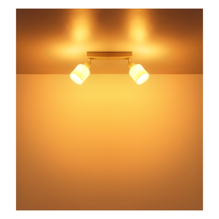 Globo - Φωτιστικό σποτ 2xE14/25W/230V