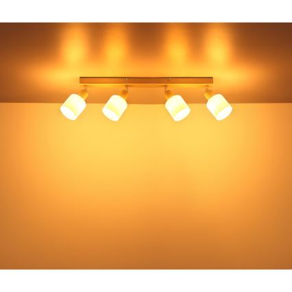 Globo - Φωτιστικό σποτ 4xE14/25W/230V
