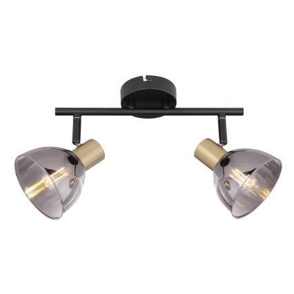 Globo - Φωτιστικό σποτ 2xE14/25W/230V