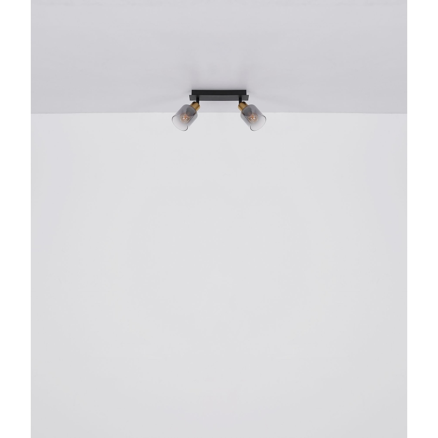 Globo - Φωτιστικό σποτ 2xE14/25W/230V