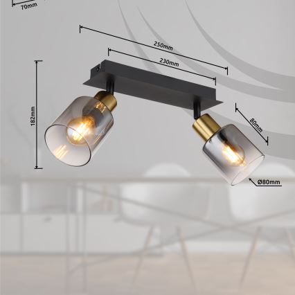 Globo - Φωτιστικό σποτ 2xE14/25W/230V