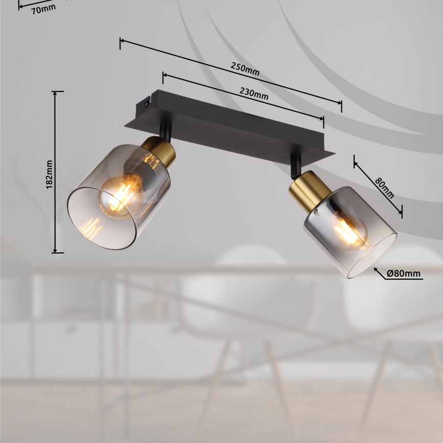 Globo - Φωτιστικό σποτ 2xE14/25W/230V