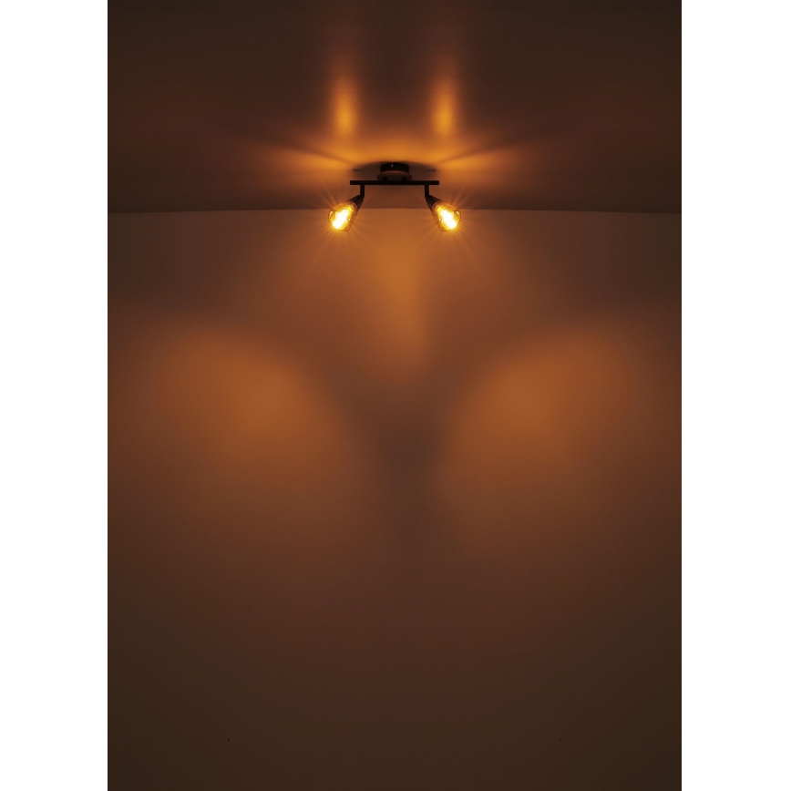 Globo - Φωτιστικό σποτ 2xE14/25W/230V