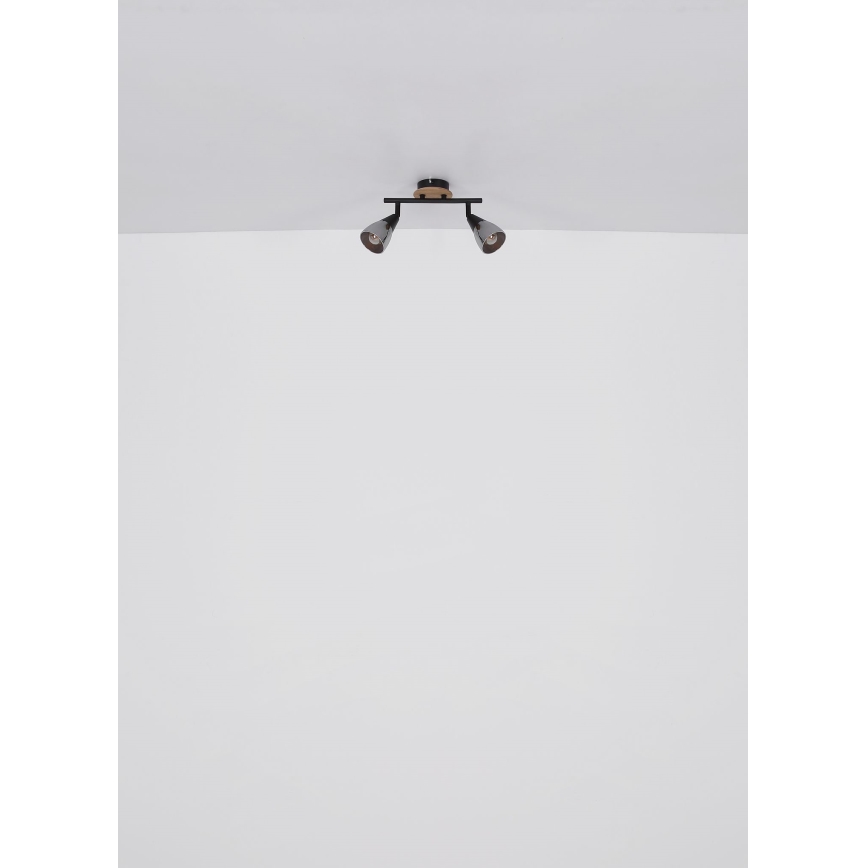 Globo - Φωτιστικό σποτ 2xE14/25W/230V