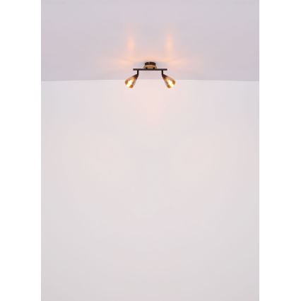 Globo - Φωτιστικό σποτ 2xE14/25W/230V