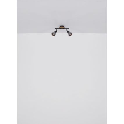 Globo - Φωτιστικό σποτ 2xE14/25W/230V