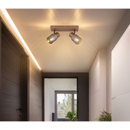 Globo - Φωτιστικό σποτ 2xE14/40W/230V