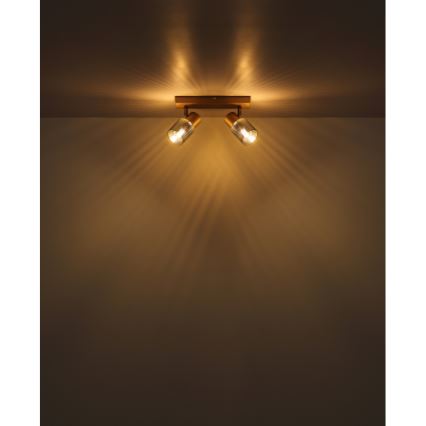 Globo - Φωτιστικό σποτ 2xE14/40W/230V