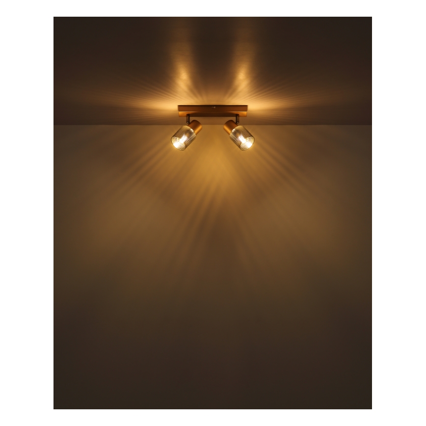 Globo - Φωτιστικό σποτ 2xE14/40W/230V