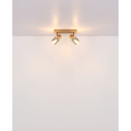 Globo - Φωτιστικό σποτ 2xE14/40W/230V