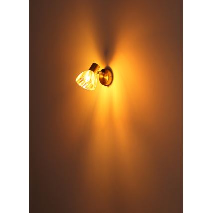 Globo - Σποτ τοίχου 1xE14/40W/230V χρυσό