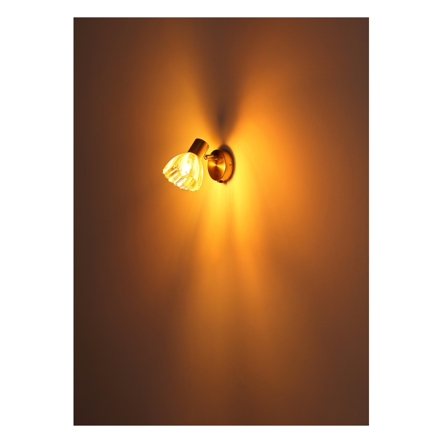Globo - Σποτ τοίχου 1xE14/40W/230V χρυσό