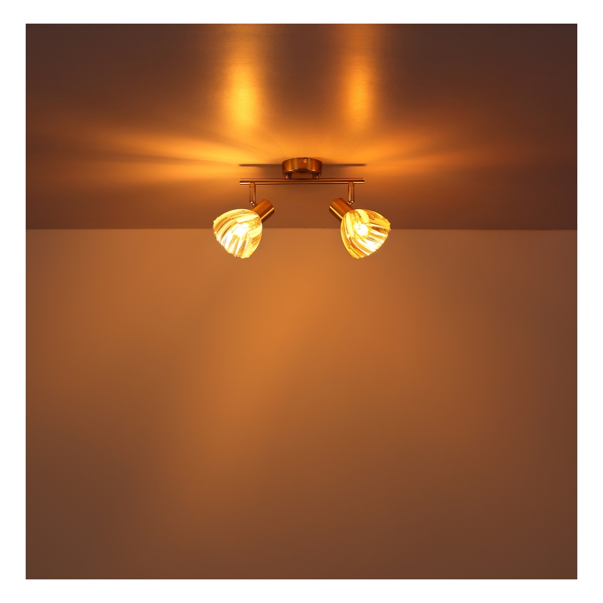 Globo - Φωτιστικό σποτ 2xE14/40W/230V χρυσό