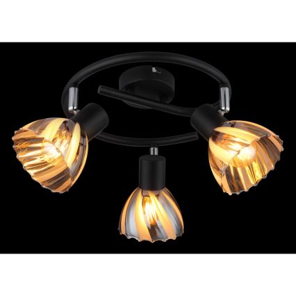 Globo - Φωτιστικό σποτ 3xE14/40W/230V μαύρο