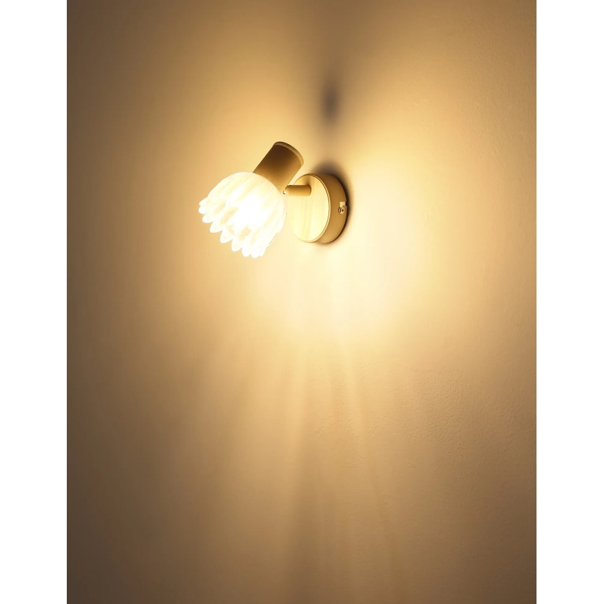 Globo - Επιτοίχιο φωτιστικό σποτ 1xE14/40W/230V