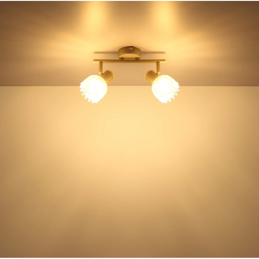 Globo - Φωτιστικό σποτ 2xE14/40W/230V