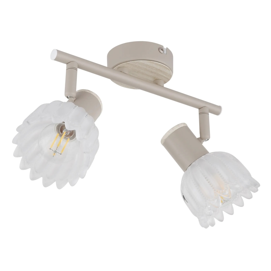 Globo - Φωτιστικό σποτ 2xE14/40W/230V