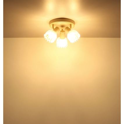 Globo - Σποτ φωτιστικό 3xE14/40W/230V