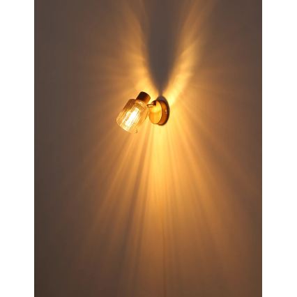Globo - Επιτοίχιο φωτιστικό σποτ 1xE14/40W/230V