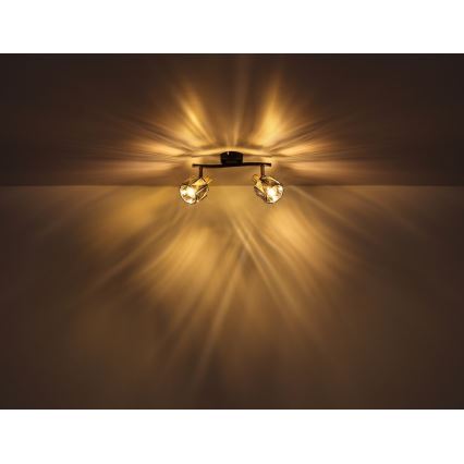 Globo - Φωτιστικό σποτ 2xE14/40W/230V