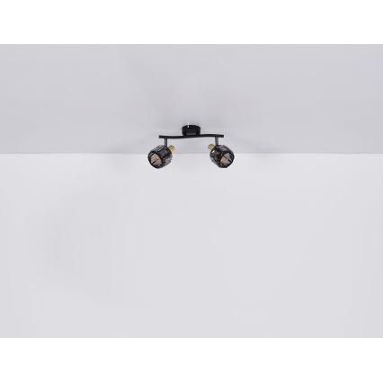 Globo - Φωτιστικό σποτ 2xE14/40W/230V