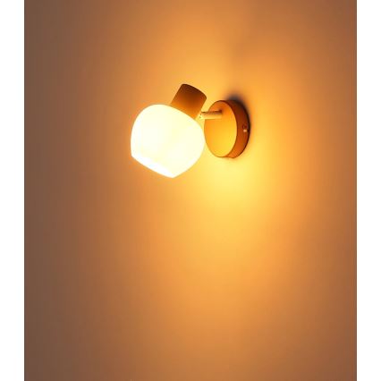 Globo - Επιτοίχιο σποτ 1xE27/40W/230V