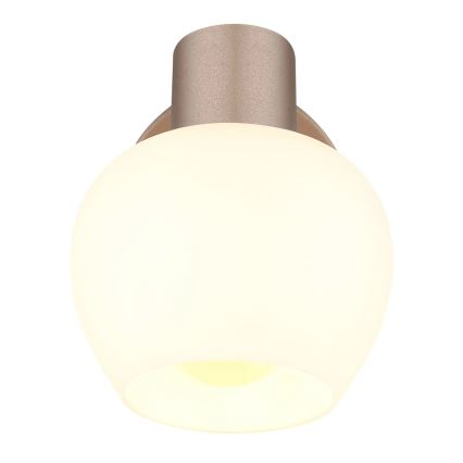 Globo - Επιτοίχιο σποτ 1xE27/40W/230V