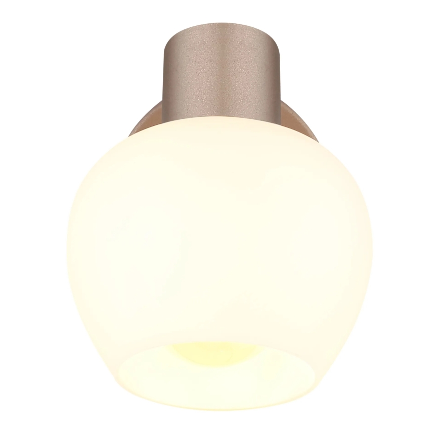 Globo - Επιτοίχιο σποτ 1xE27/40W/230V