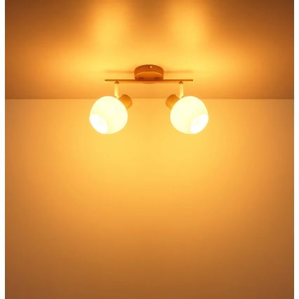 Globo - Φωτιστικό σποτ 2xE27/40W/230V