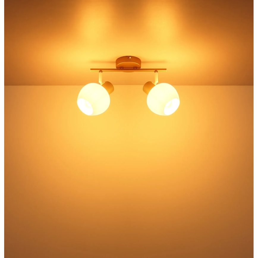 Globo - Φωτιστικό σποτ 2xE27/40W/230V