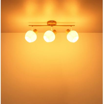 Globo - Σποτ φωτιστικό 3xE27/40W/230V