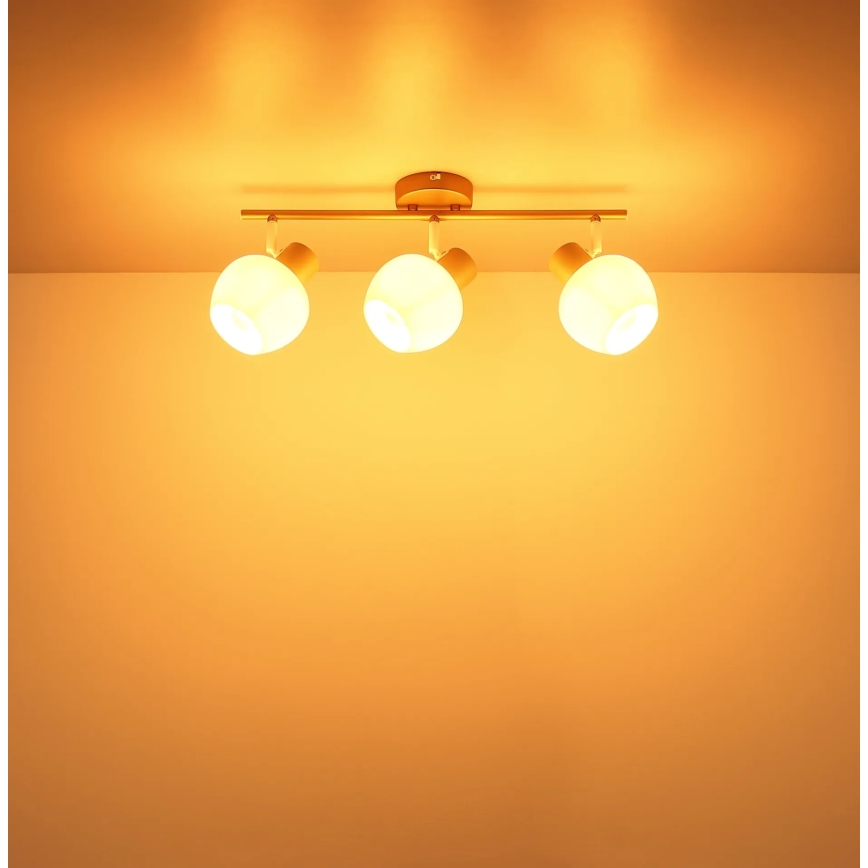 Globo - Σποτ φωτιστικό 3xE27/40W/230V