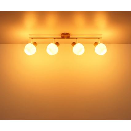 Globo - Φωτιστικό σποτ 4xE27/40W/230V