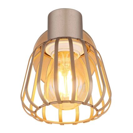 Globo - Επιτοίχιο φωτιστικό σποτ 1xE27/40W/230V