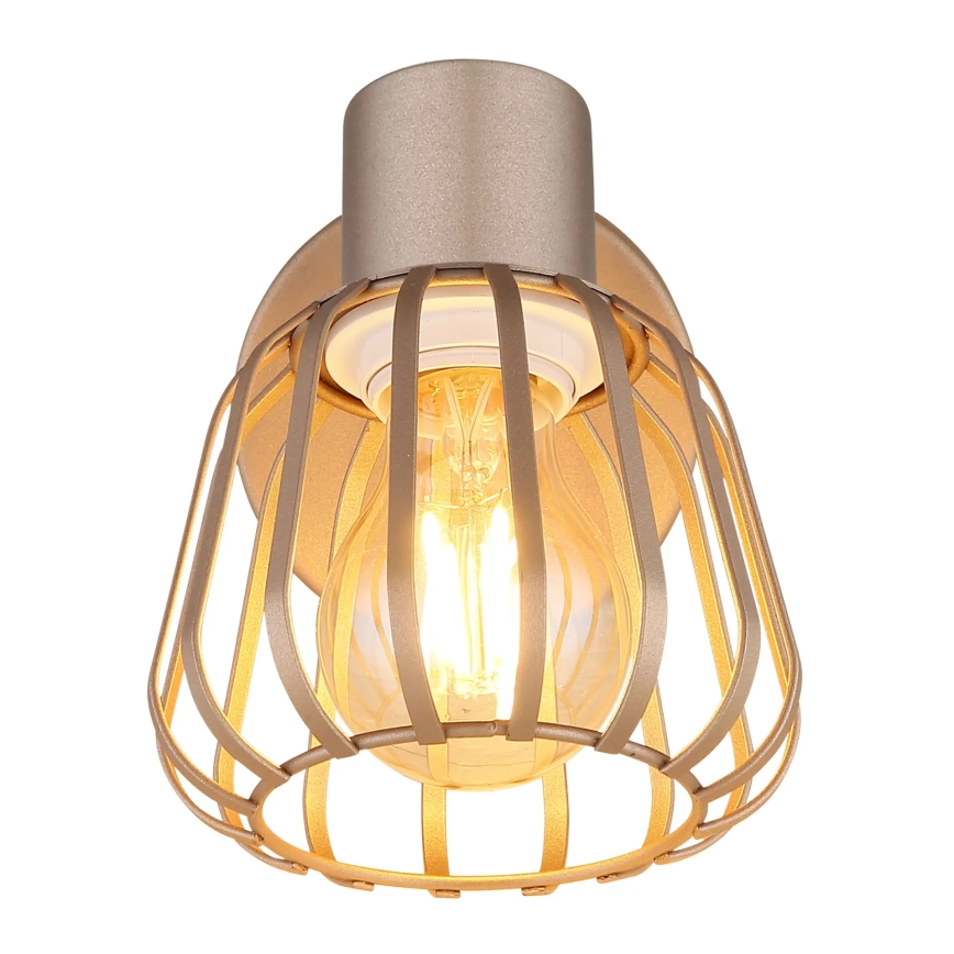 Globo - Επιτοίχιο φωτιστικό σποτ 1xE27/40W/230V