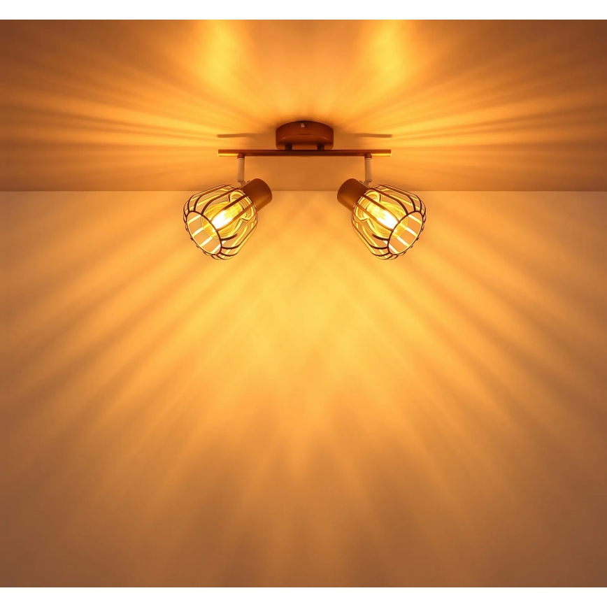 Globo - Φωτιστικό σποτ 2xE27/40W/230V