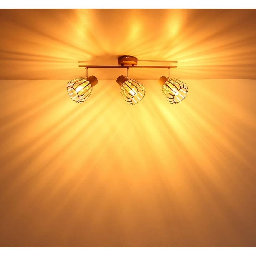 Globo - Φωτιστικό σποτ 3xE27/40W/230V