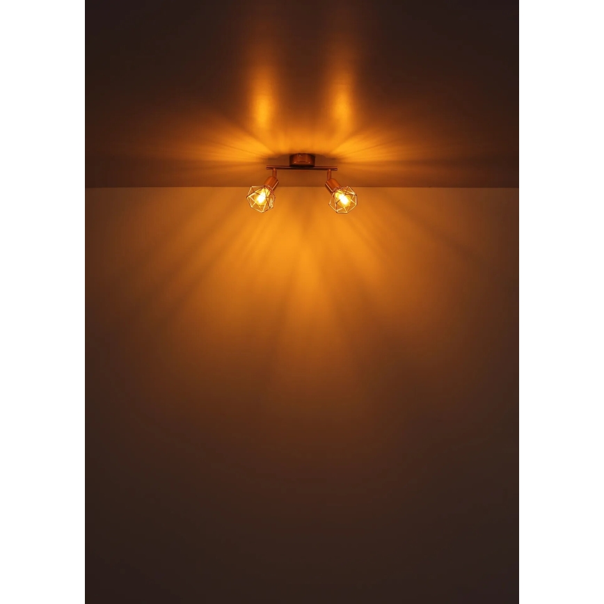 Globo - Φωτιστικό σποτ 2xE14/40W/230V χρυσό
