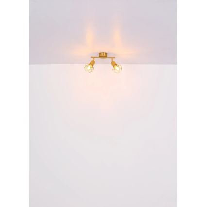 Globo - Φωτιστικό σποτ 2xE14/40W/230V χρυσό