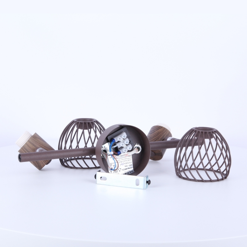 Globo - Φωτιστικό σποτ 2xE14/40W/230V