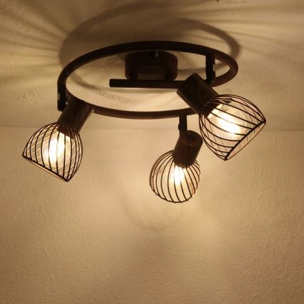 Globo - Φωτιστικό σποτ 3xE14/40W/230V