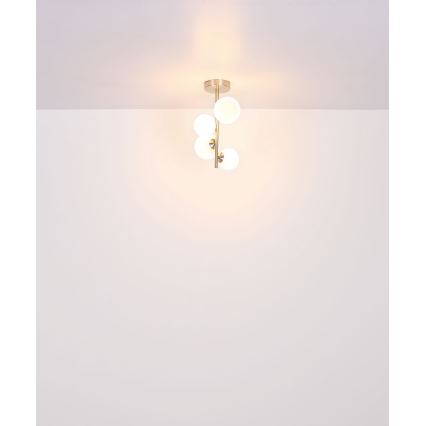 Globo - Κρεμαστό φωτιστικό οροφής LED 4xG9/3W/230V ματ χρώμιο