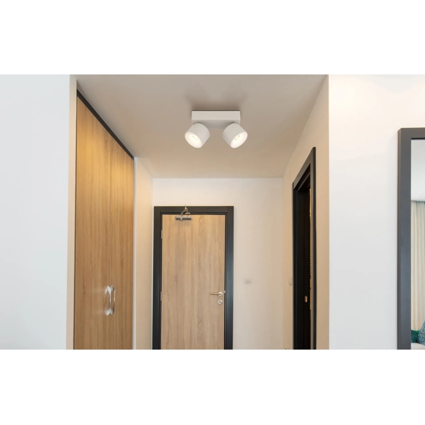 Globo - LED φωτιστικό σποτ 2xLED/6W/230V