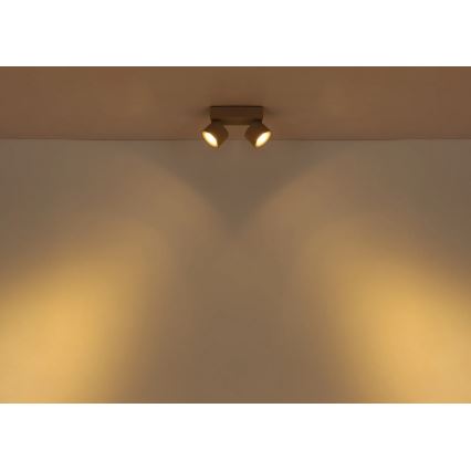 Globo - LED φωτιστικό σποτ 2xLED/6W/230V