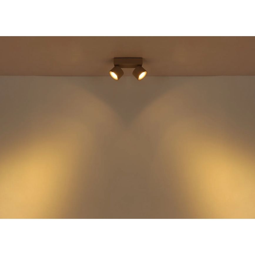 Globo - LED φωτιστικό σποτ 2xLED/6W/230V